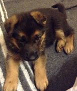 Delta at 4 weeks